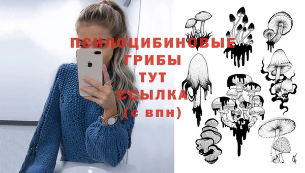 jwh Алексеевка