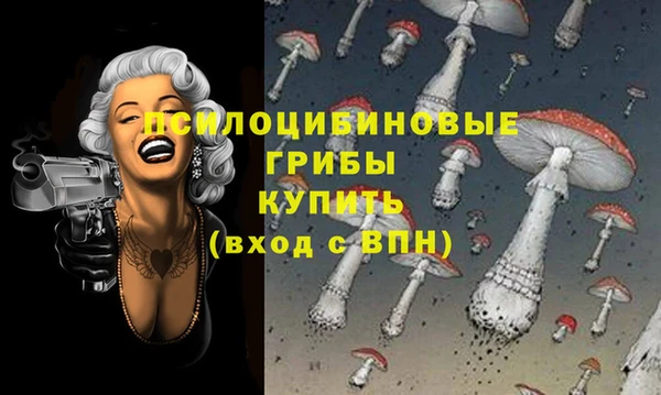 a pvp Алексин