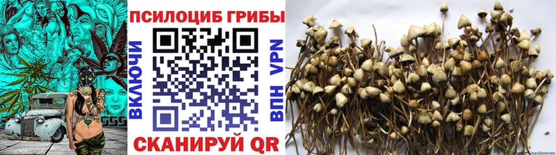 Псилоцибиновые грибы Psilocybe  наркота  Цимлянск 